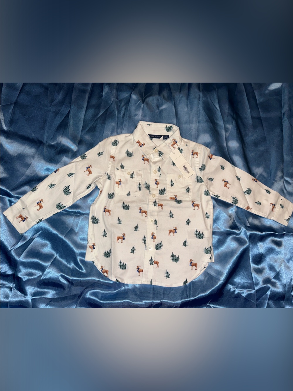 Janie and Jack White Long-Sleeve Button Down